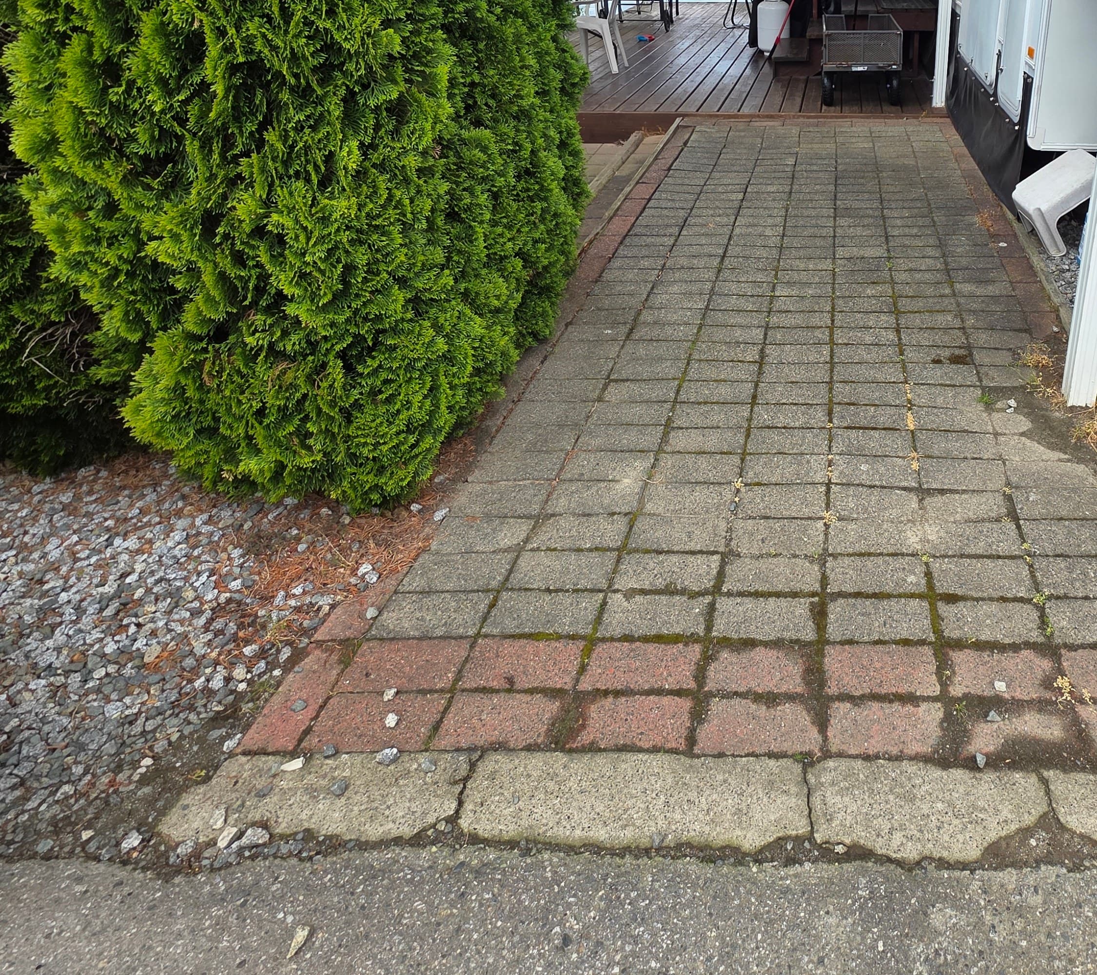 Worn paver walkway with widening mossy joints, settled pavers and a heaved edge — Daedalus Contracting, Lower Mainland BC